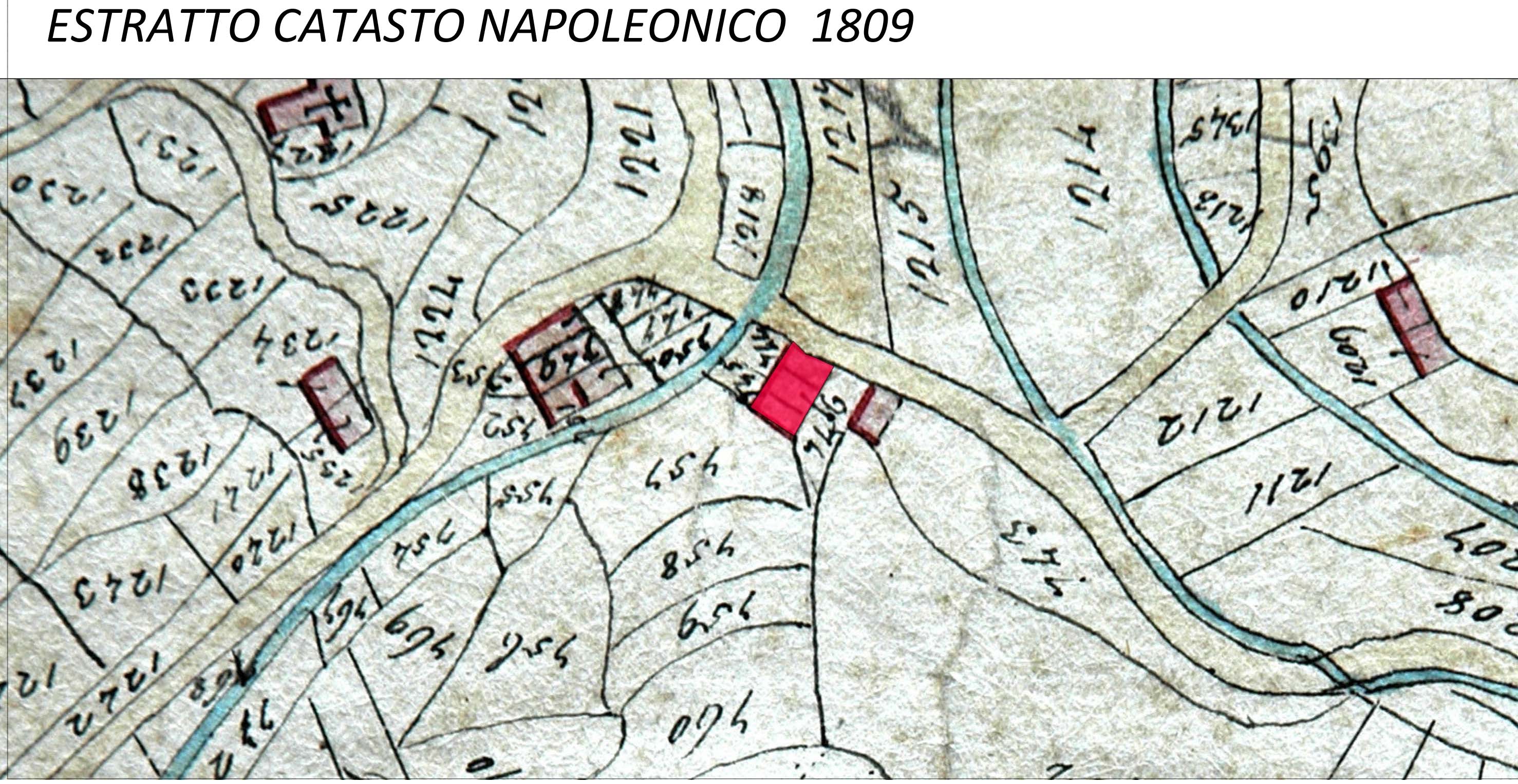NAPOLEONICO 1809